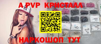 крисы Нальчик