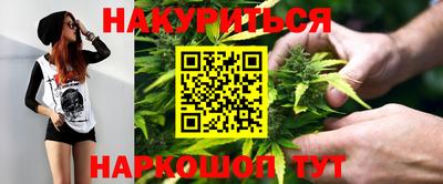 крисы Нальчик