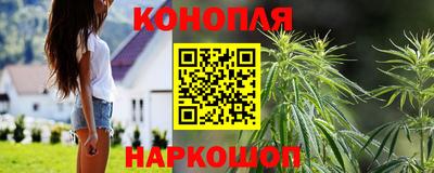 крисы Нальчик