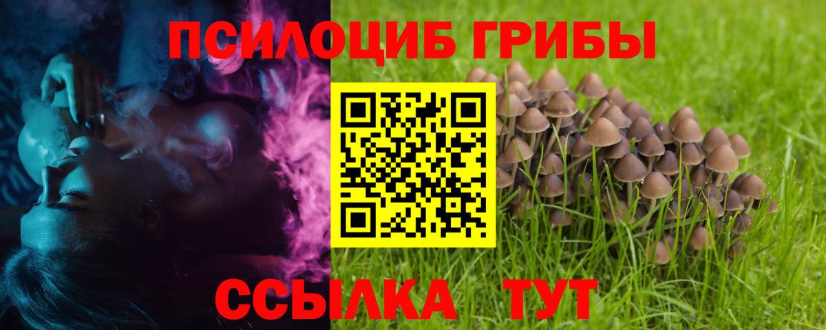 Псилоцибиновые грибы мицелий  Вход с VPN  Ялуторовск 